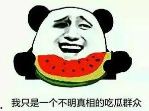 有吃瓜群吗